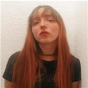 Clases particulares Matematicas básicas y Tecnologia/Desarrollo paginas web